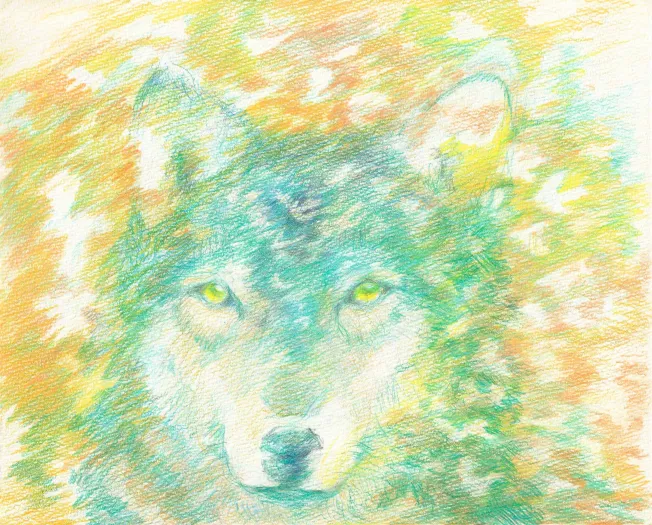 Work by wakiko miyajima