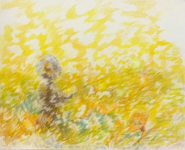 Work by wakiko miyajima