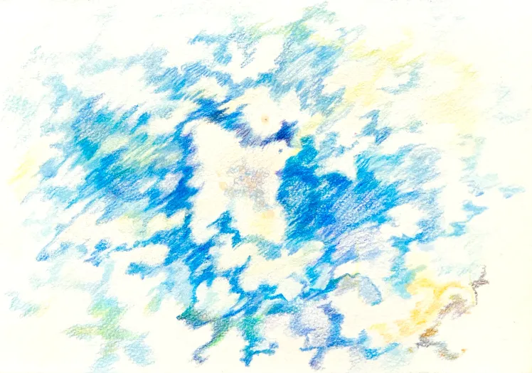 Work by wakiko miyajima